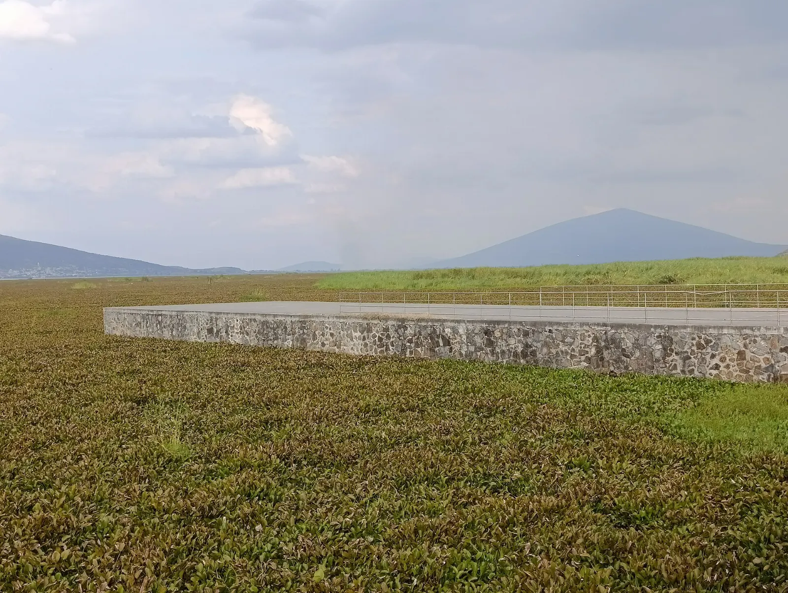 Shallow waters and reeds of Laguna de Yuriria, Guanajuato