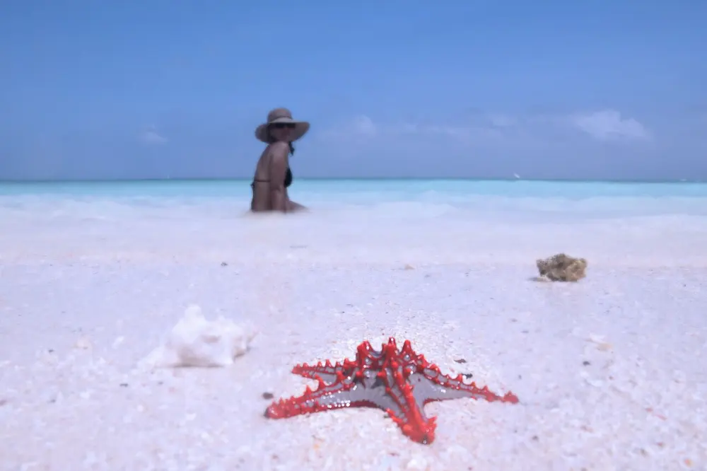 Kendwa, Zanzibar, Tanzania