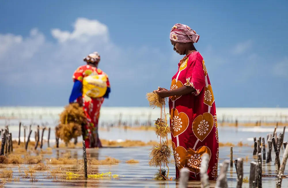 Jambiani, Zanzibar, Tanzania