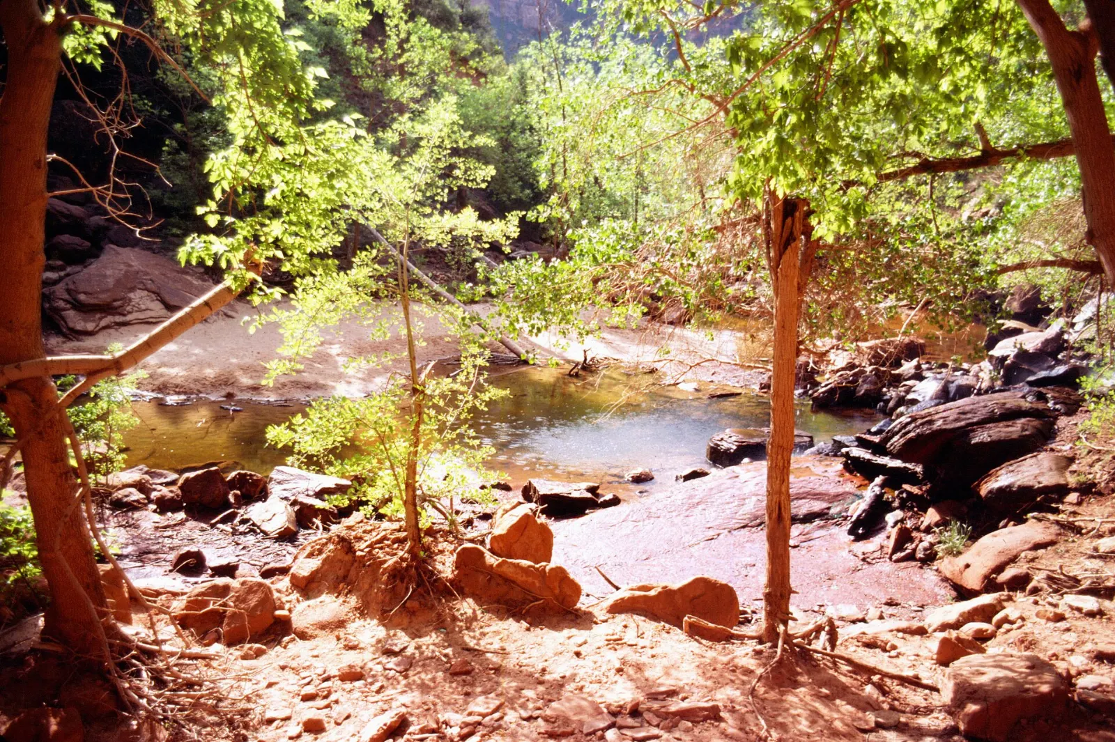 Thin waterfall dripping from an overhang above the Lower Emerald Pool, Zion National Park, Utah