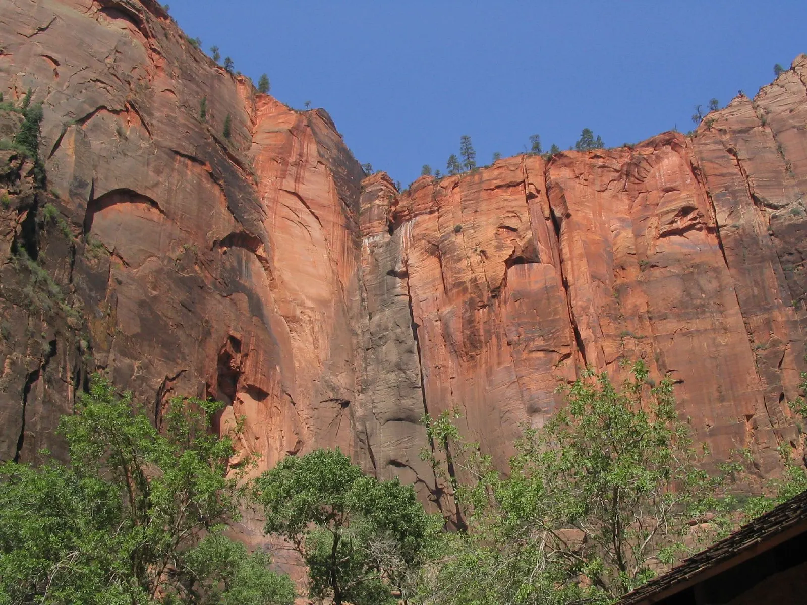Paved path along the Virgin River beneath tall walls at the Temple of Sinawava, Zion National Park, Utah