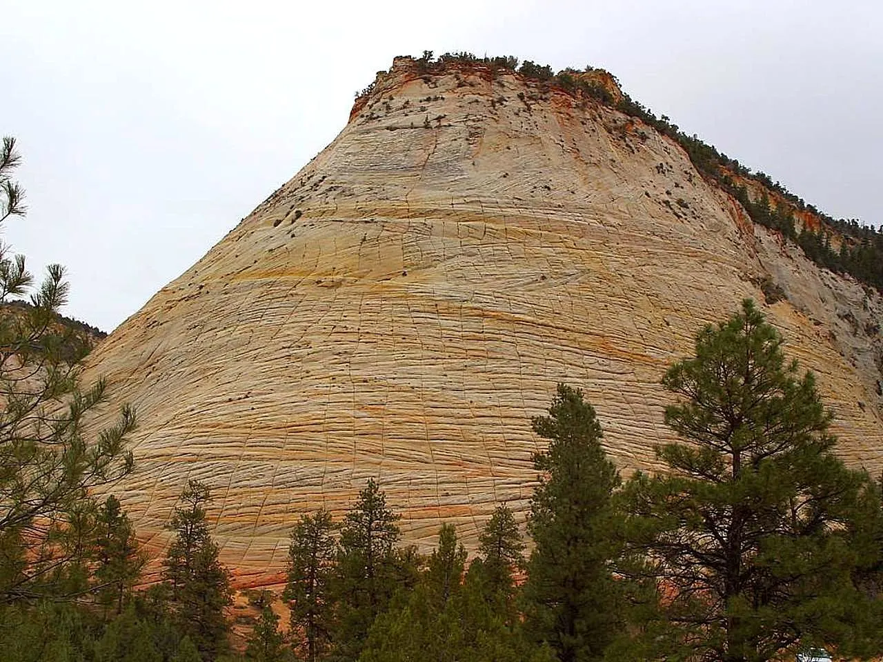 Cross-hatched patterns on the white sandstone dome of Checkerboard Mesa, Zion National Park, Utah