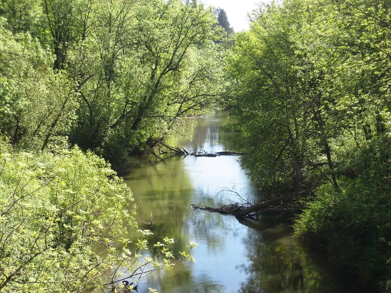 Jackson Bottom Wetlands Preserve, Hillsboro, Oregon, United States