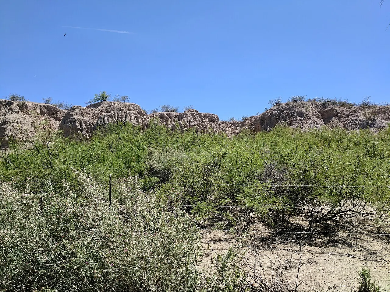 Mesilla Valley Bosque State Park, Las Cruces, New Mexico, United States