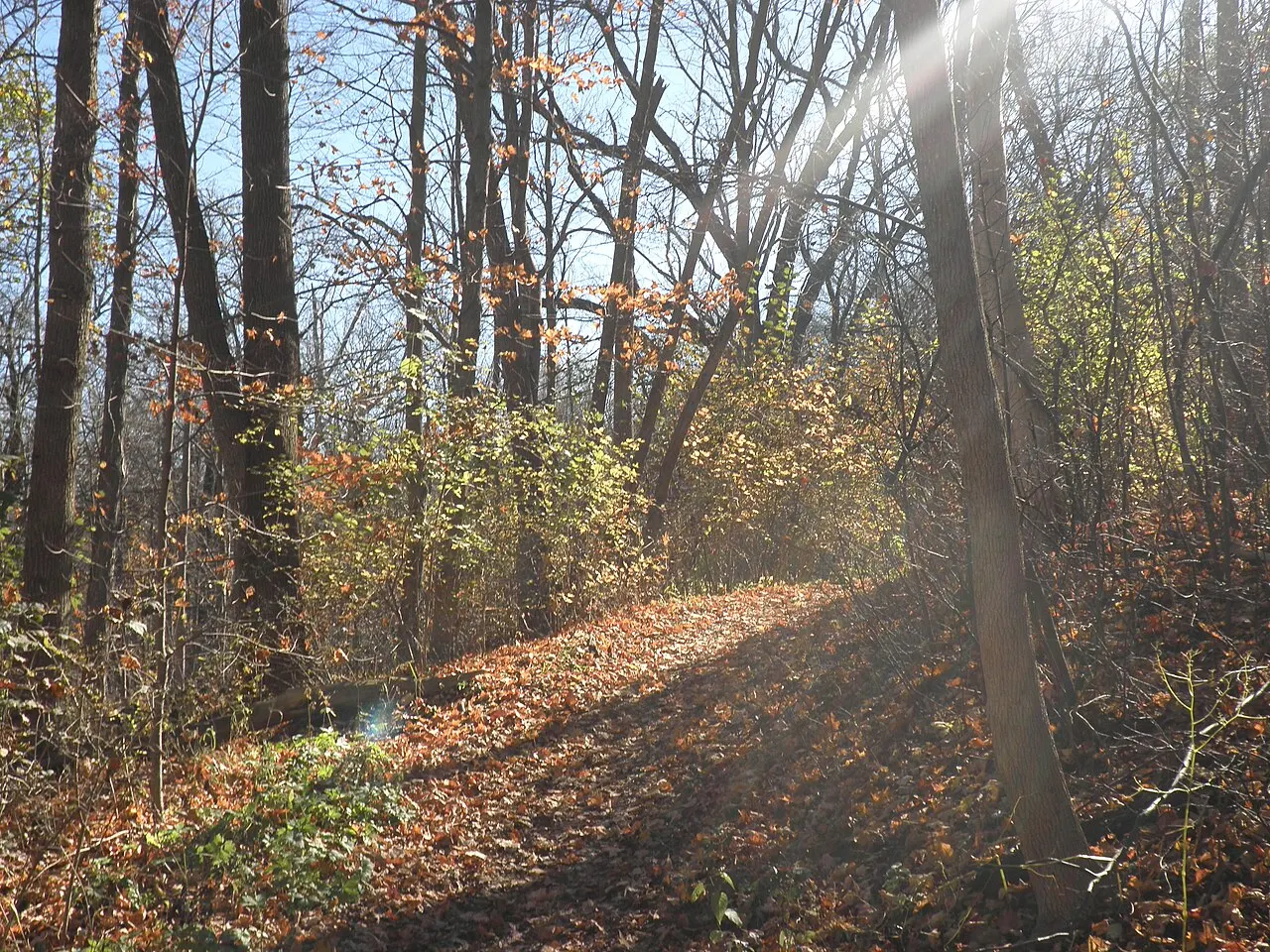 Petrifying Springs Park, Kenosha, Wisconsin, United States