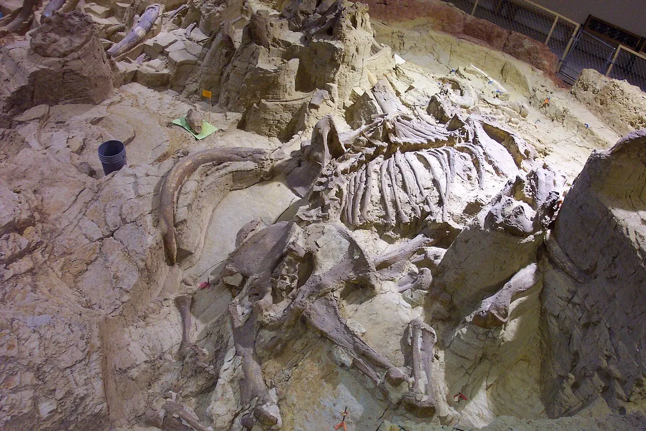 The Mammoth Site in Hot Springs, Mount Rushmore and the Black Hills, South Dakota, United States