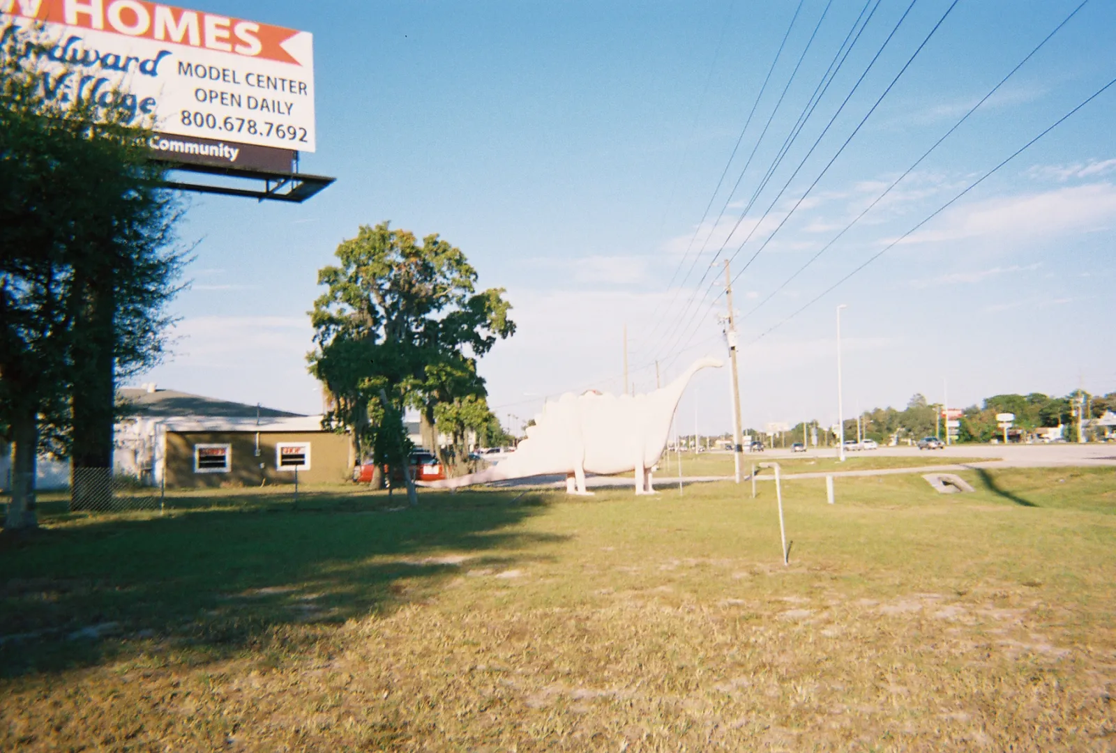 Spring Hill's Pink Dinosaur on US 19, Spring Hill, Florida, United States