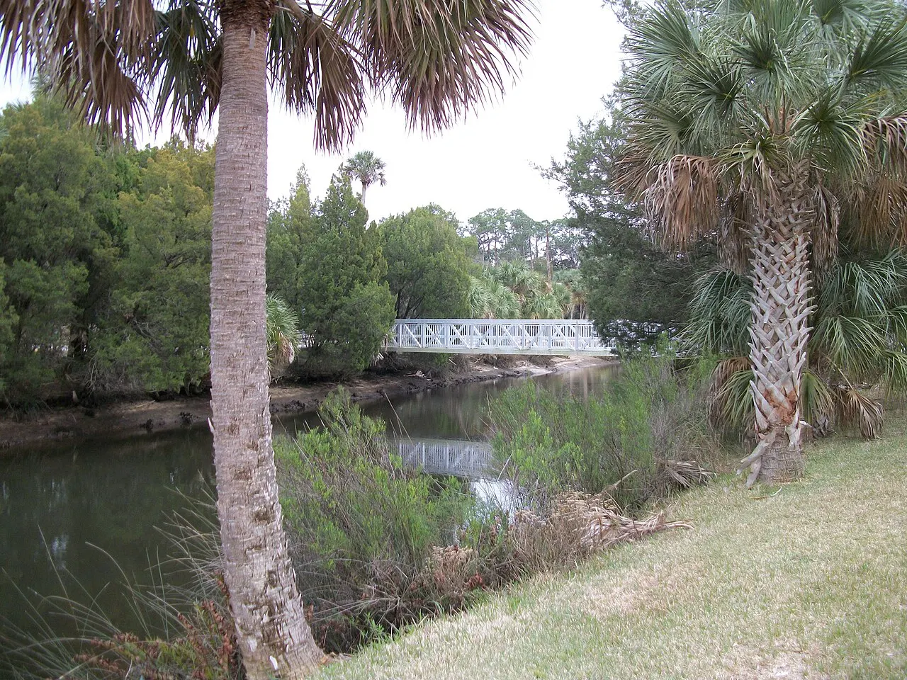 Linda Pedersen Park at Jenkins Creek, Spring Hill, Florida, United States