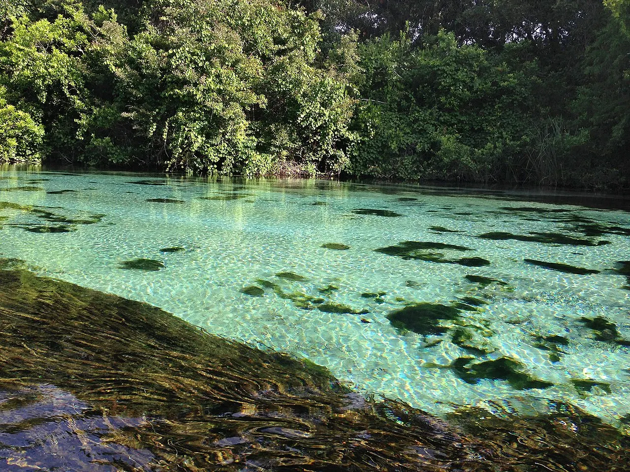 Weeki Wachee River, Spring Hill, Florida, United States