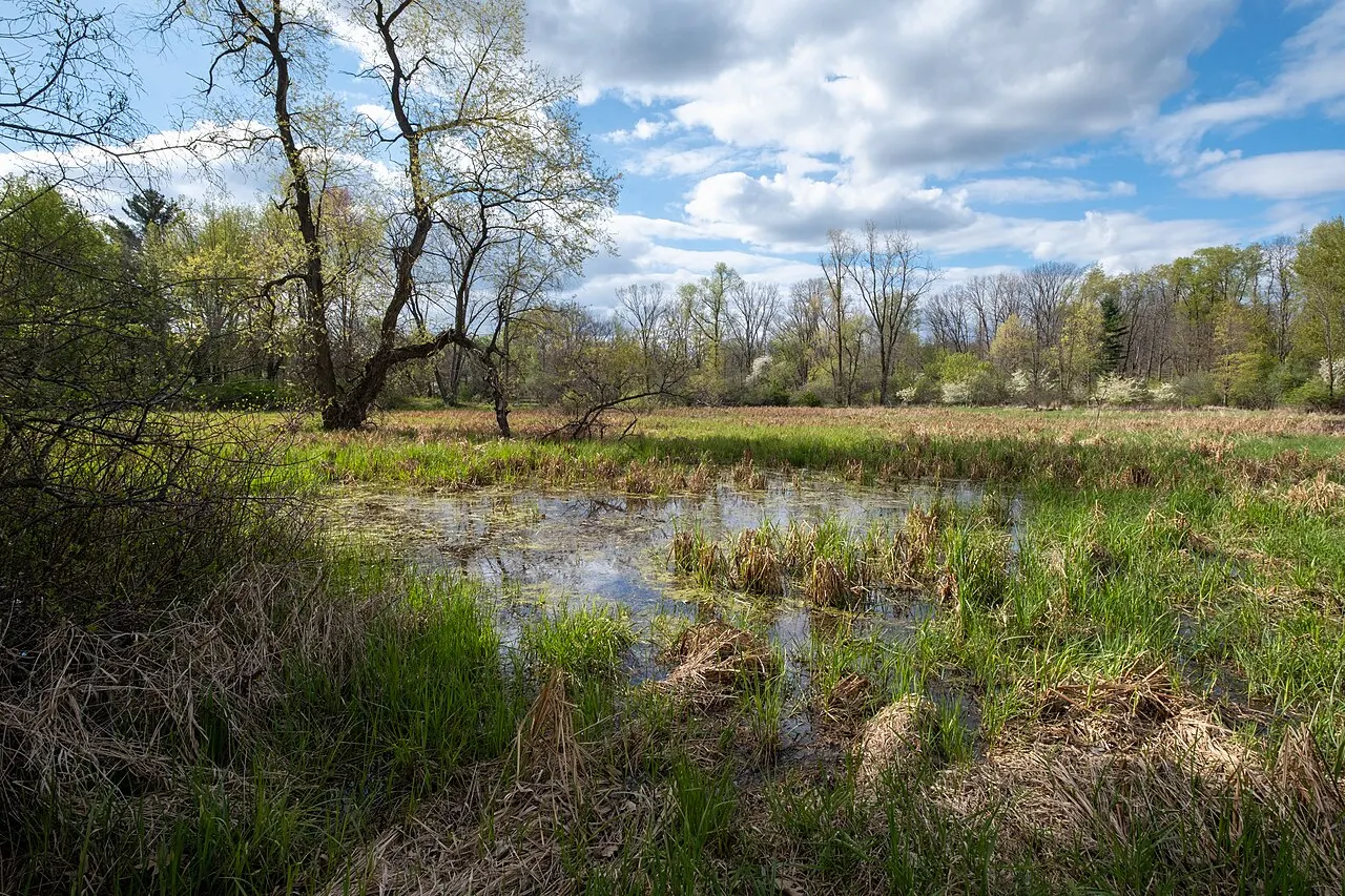 For-Mar Nature Preserve and Arboretum, Flint, Michigan, United States