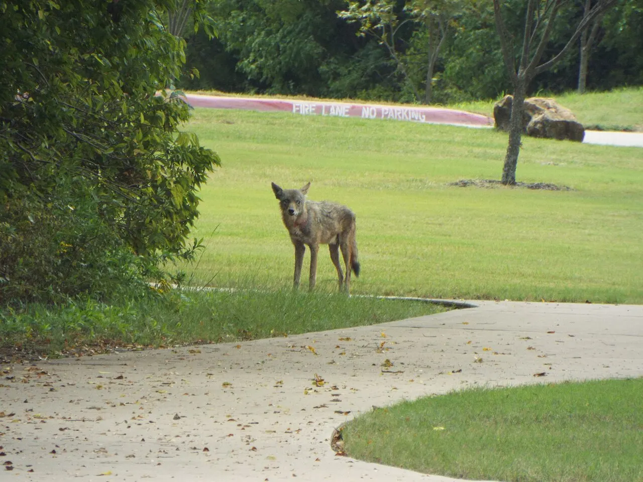 Allen Station Park, Allen, Texas, United States
