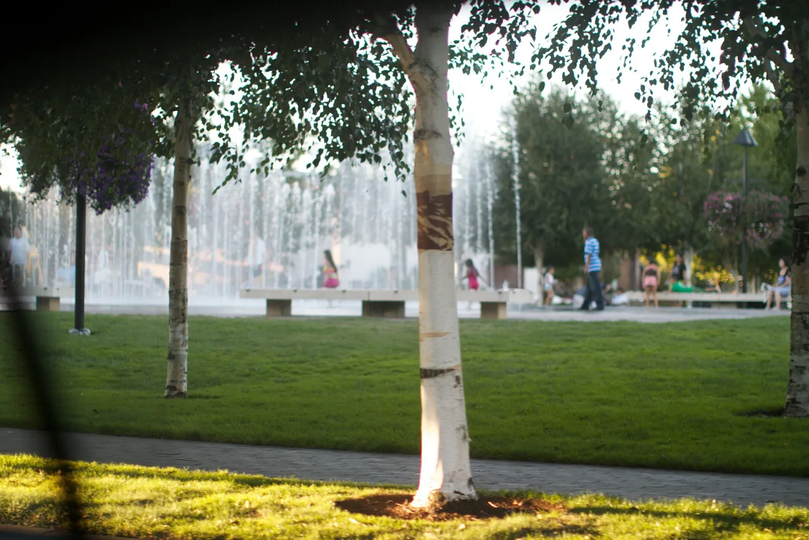 Beaverton City Park, Beaverton, Oregon, United States