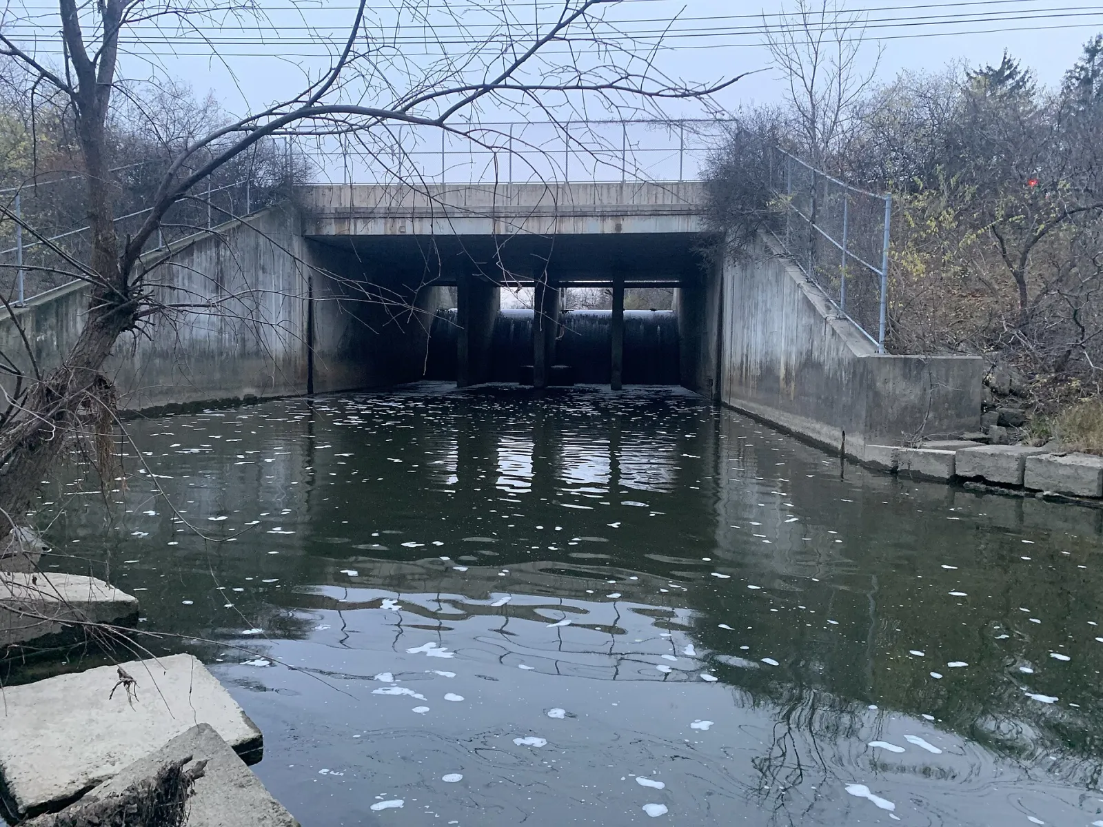 Newburgh Lake, Livonia, Michigan, United States