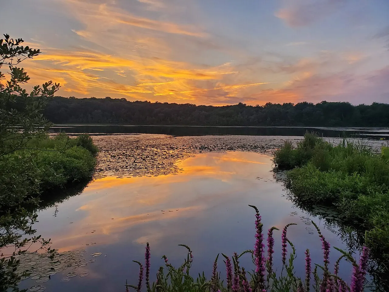 Hammond Pond Reservation, Newton, Massachusetts, United States