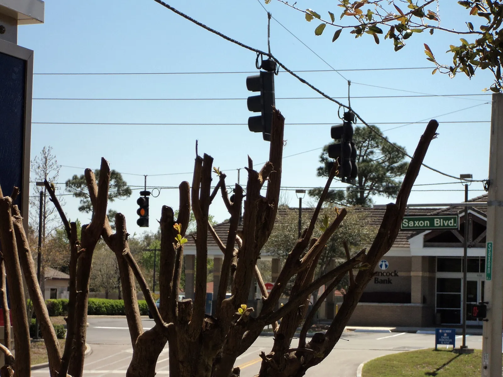 Saxon Blvd panoramio, Deltona, Florida, United States