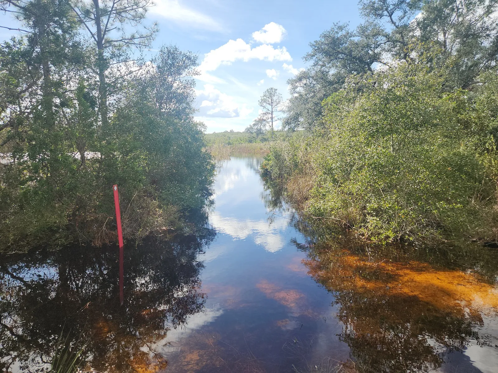 Flooded trails at Lyonia Preserve, Deltona, Florida, United States