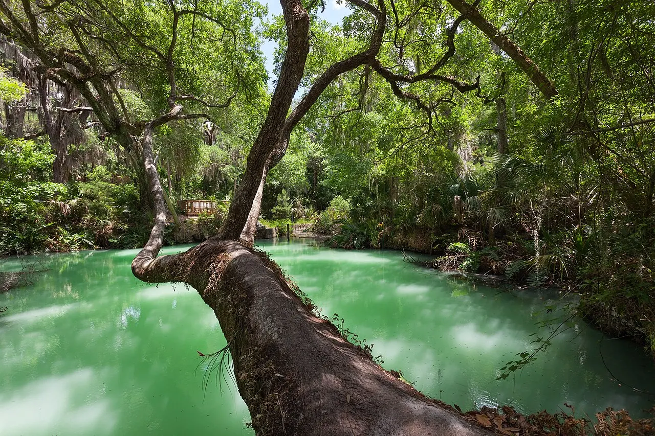 Green Springs Park, Deltona, Florida, United States