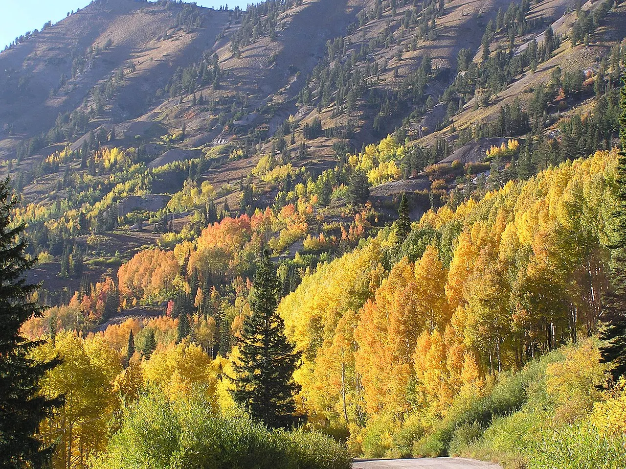 Little Cottonwood Canyon, Sandy, Utah, United States