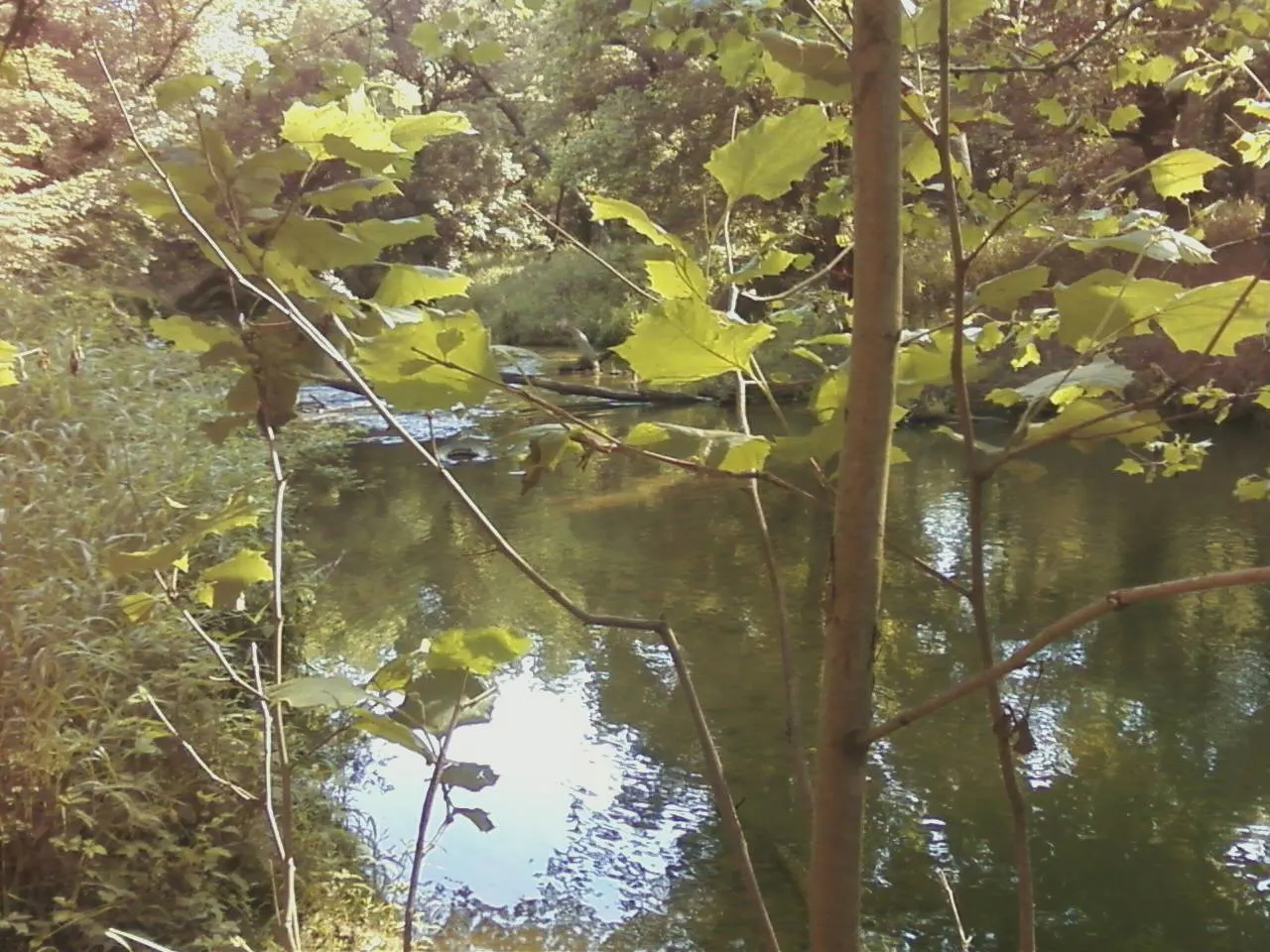 Seneca Creek Greenway Trail, Germantown, Maryland, United States