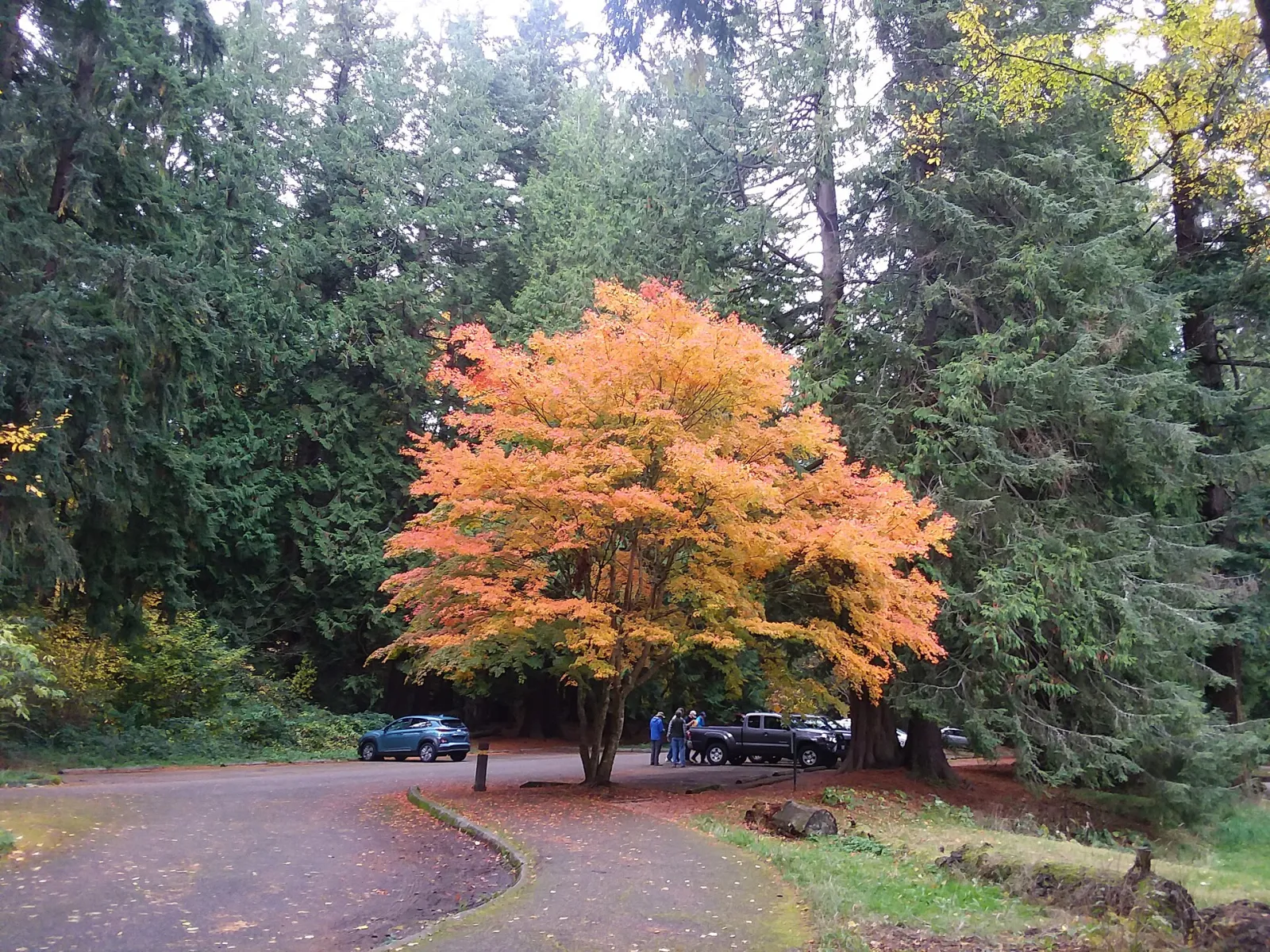 Cornwall Park, Bellingham, Washington, United States