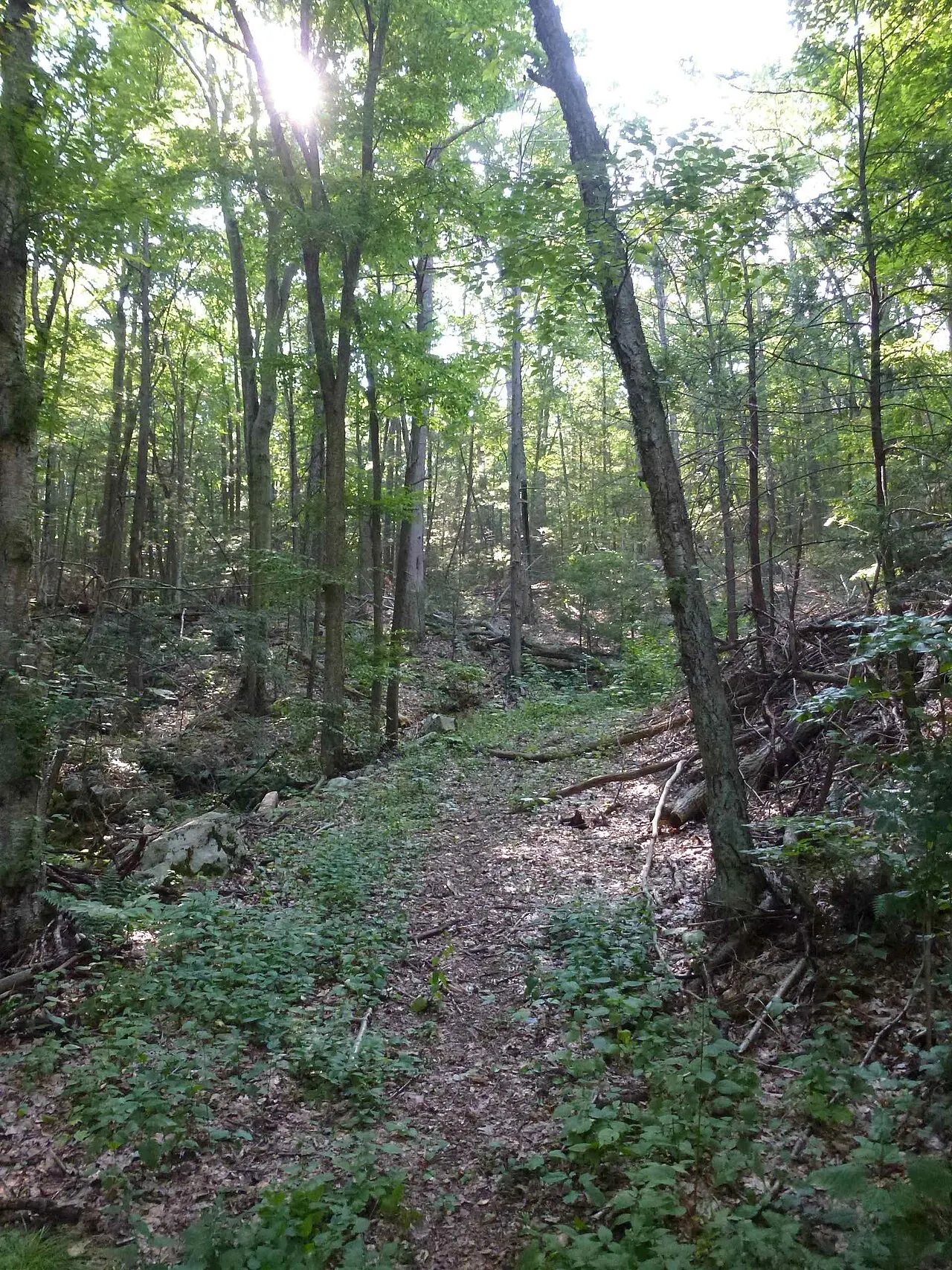 Wooster Mountain State Park, Danbury, Connecticut, United States