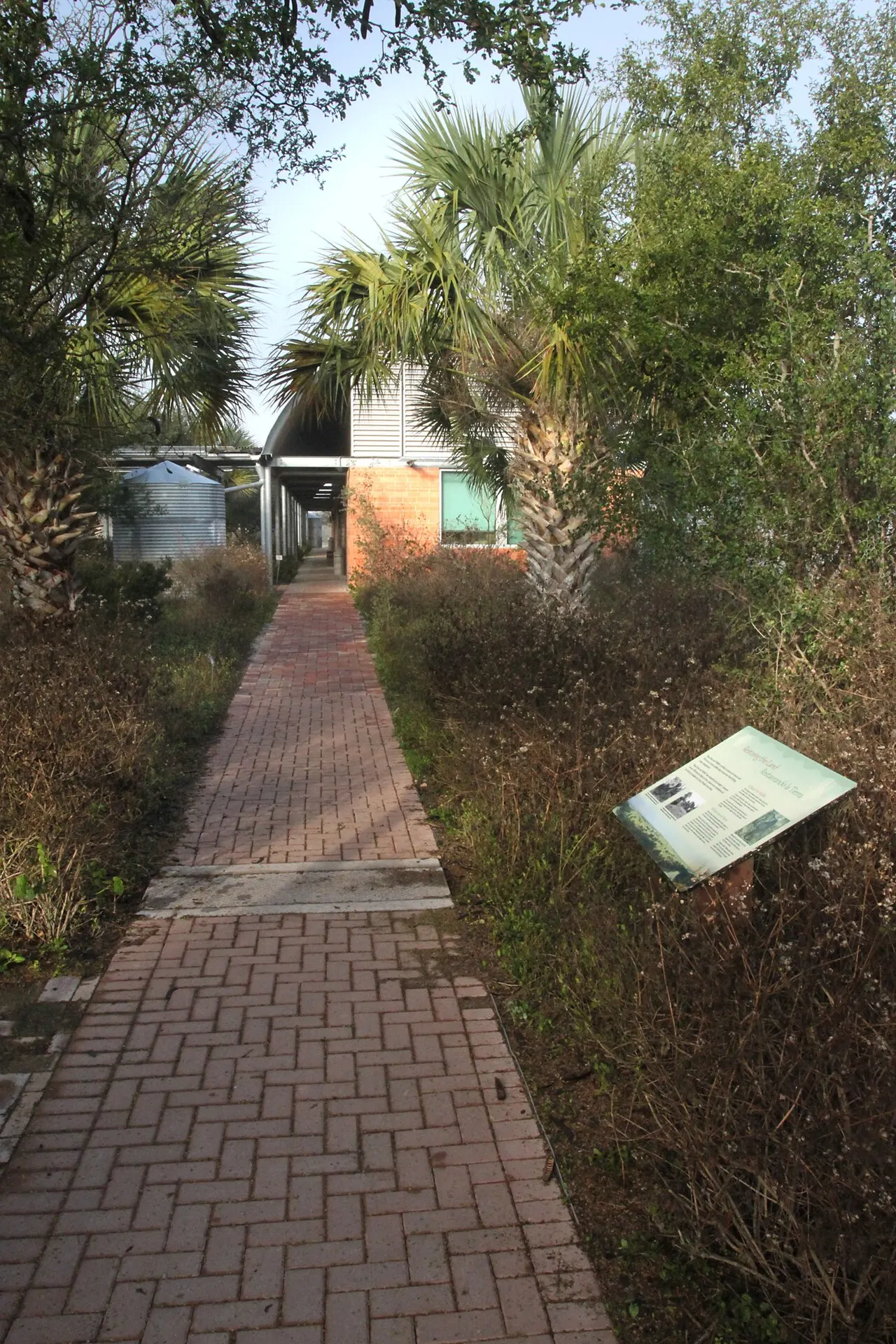 Bentsen-Rio Grande Valley State Park, Mission, Texas, United States