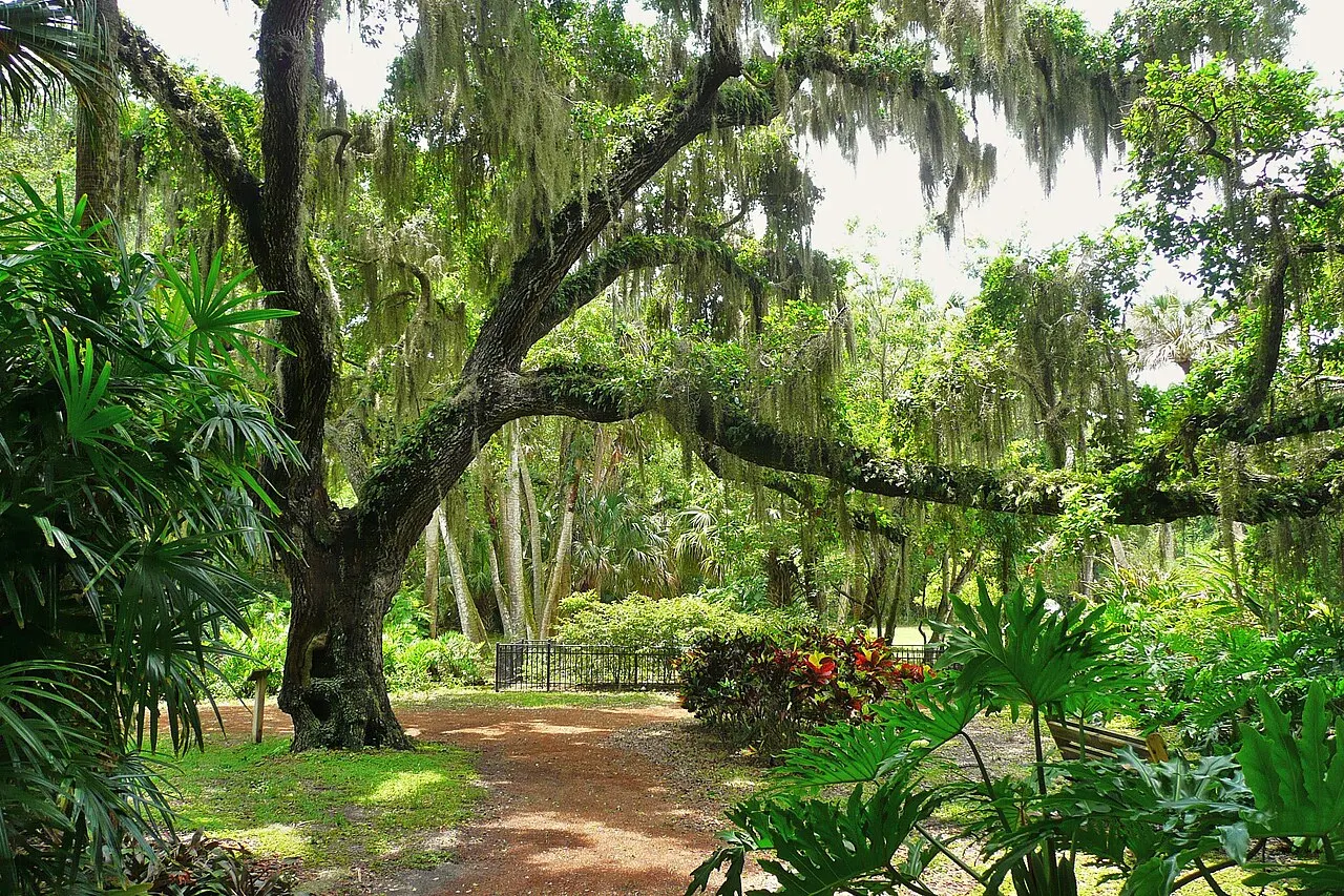 Washington Oaks Gardens State Park, Palm Coast, Florida, United States