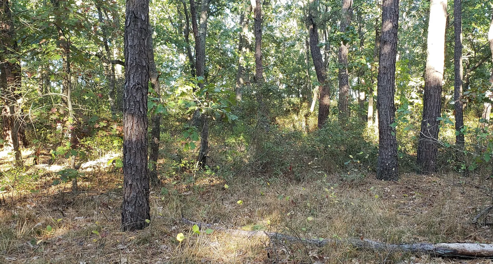 Warwick City Park, Warwick, Rhode Island, United States