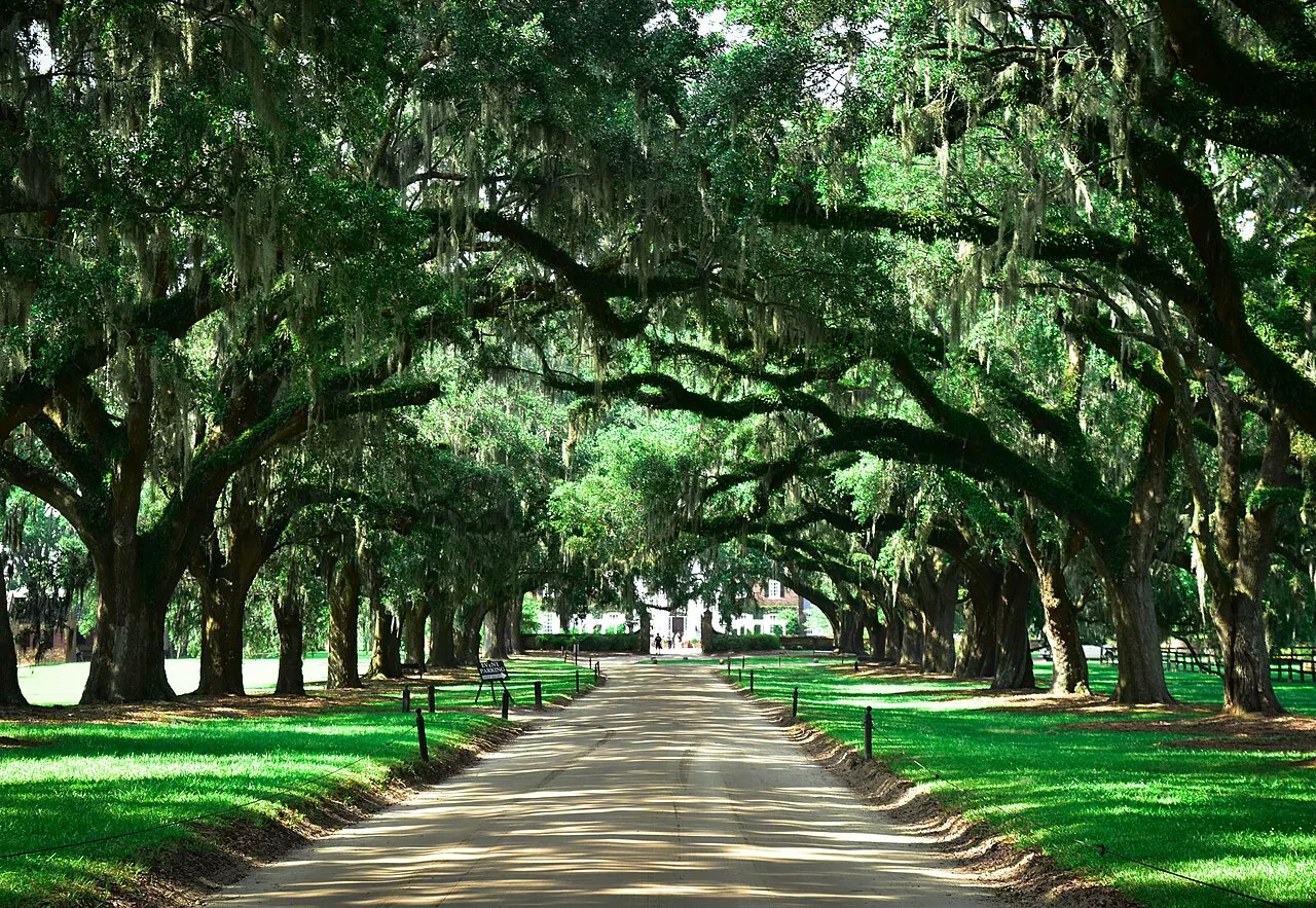 Boone Hall Plantation, Mount Pleasant, South Carolina, United States