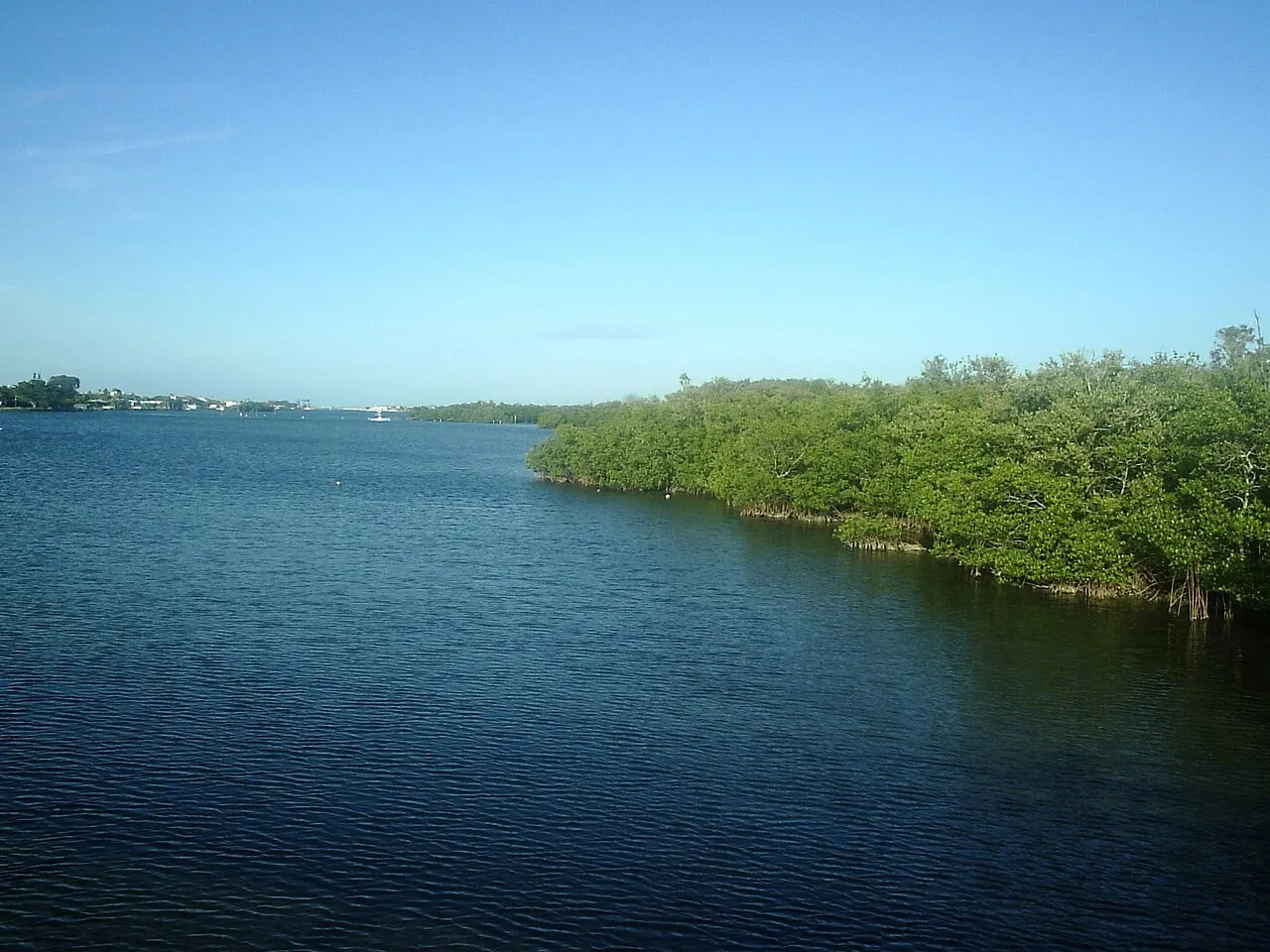 McGough Nature Park, Largo, Florida, United States