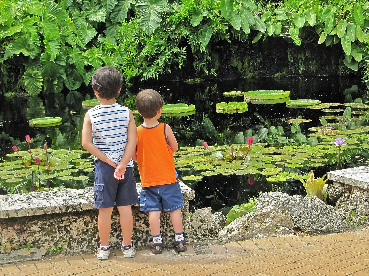 Fruit and Spice Park, Homestead, Florida, United States