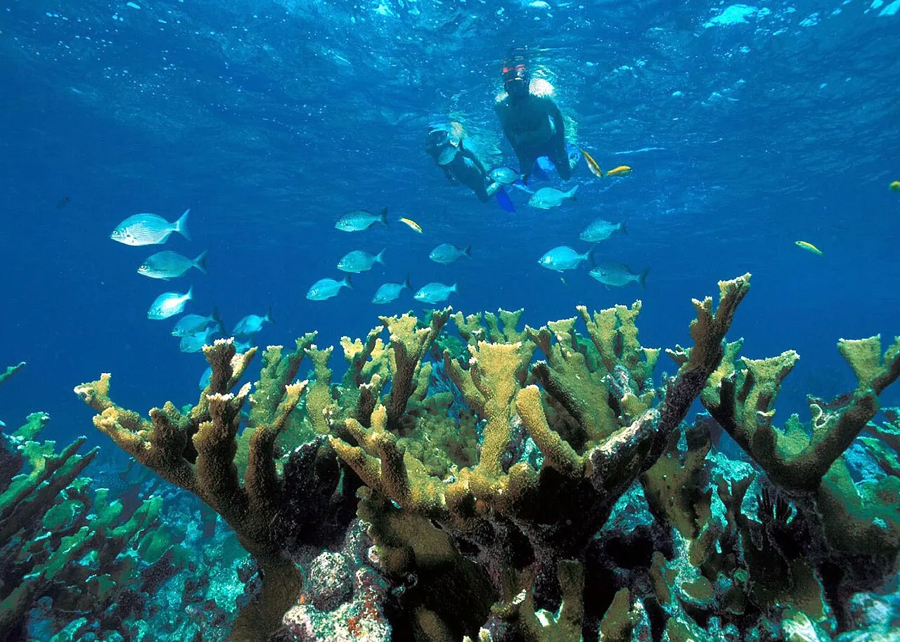 Biscayne National Park, Homestead, Florida, United States