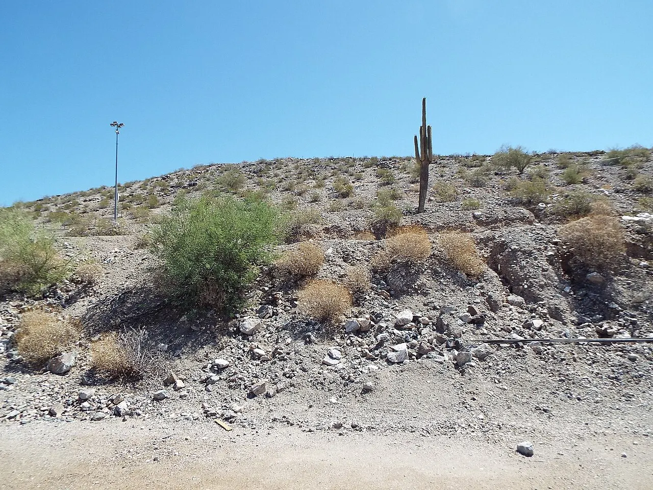 Base and Meridian Wildlife Area, Avondale, Arizona, United States