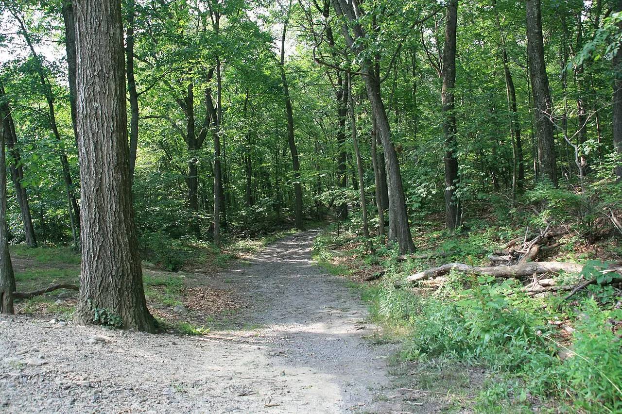 McDade Park, Scranton, Pennsylvania, United States