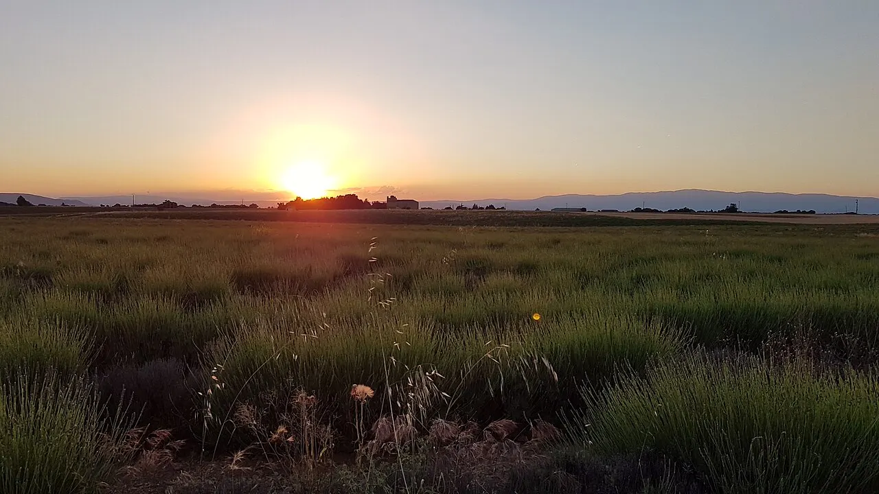Valensole Plateau, Provence, France