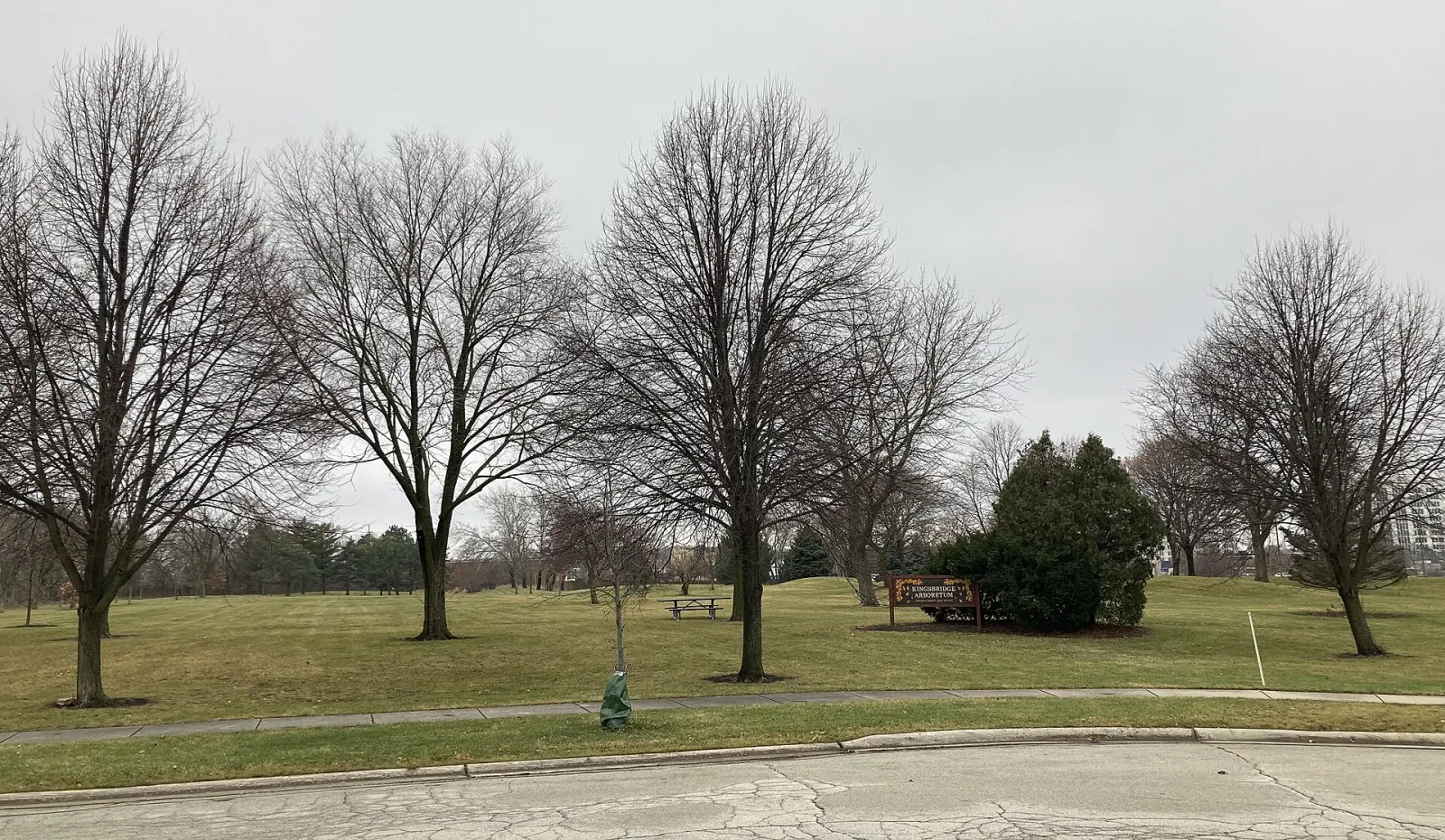 Kingsbridge Arboretum, Arlington Heights, Illinois, United States