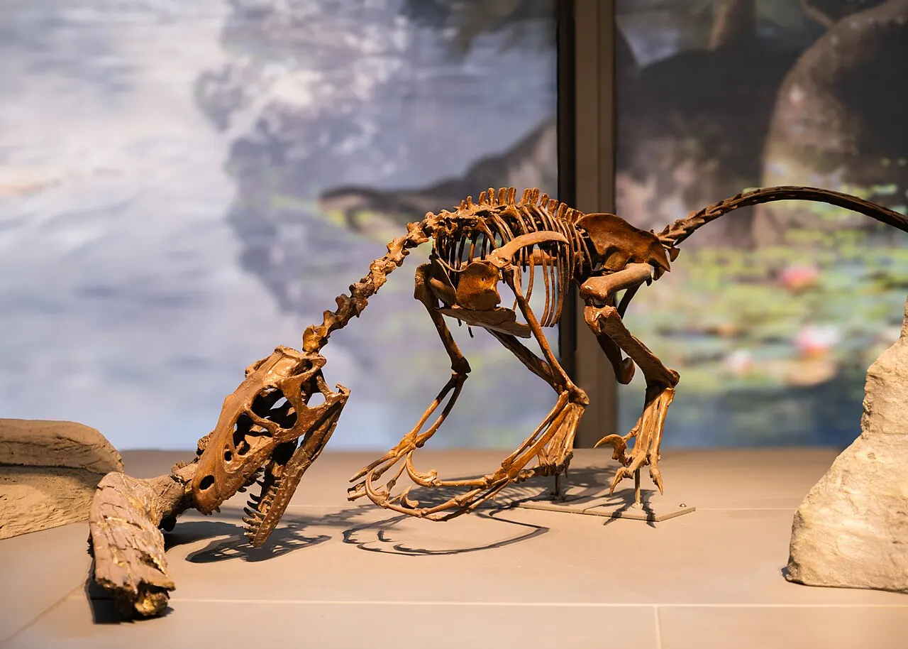 North Dakota Heritage Center, Bismarck, North Dakota, United States