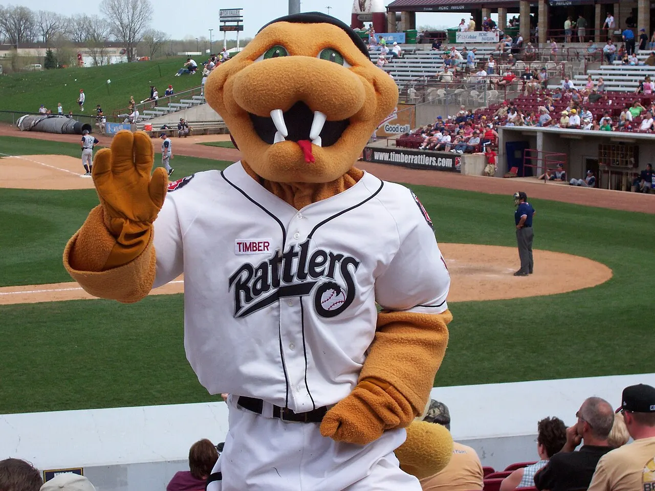 Wisconsin Timber Rattlers, Appleton, Wisconsin, United States