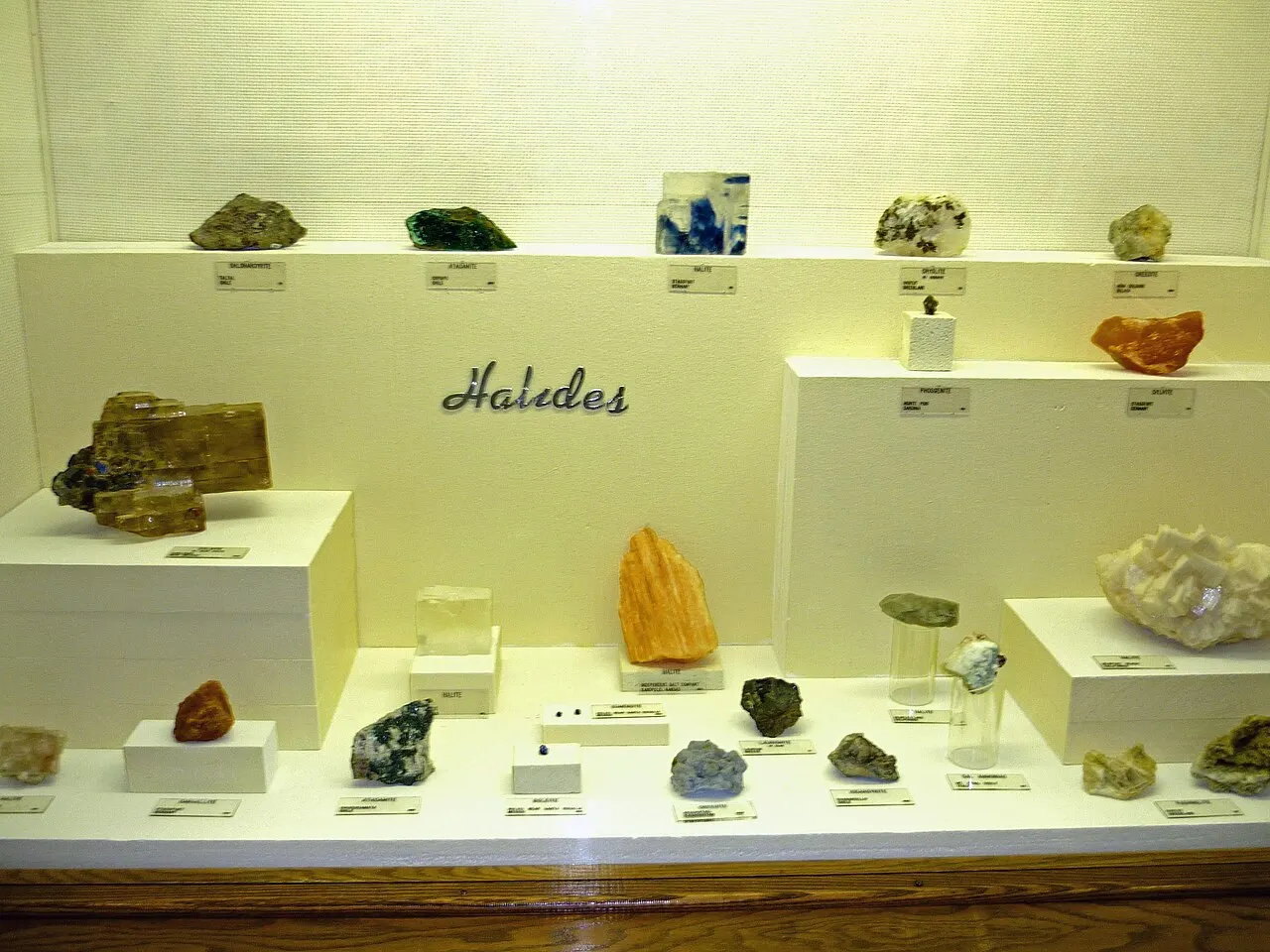 Museum of Geology, Rapid City, South Dakota, United States