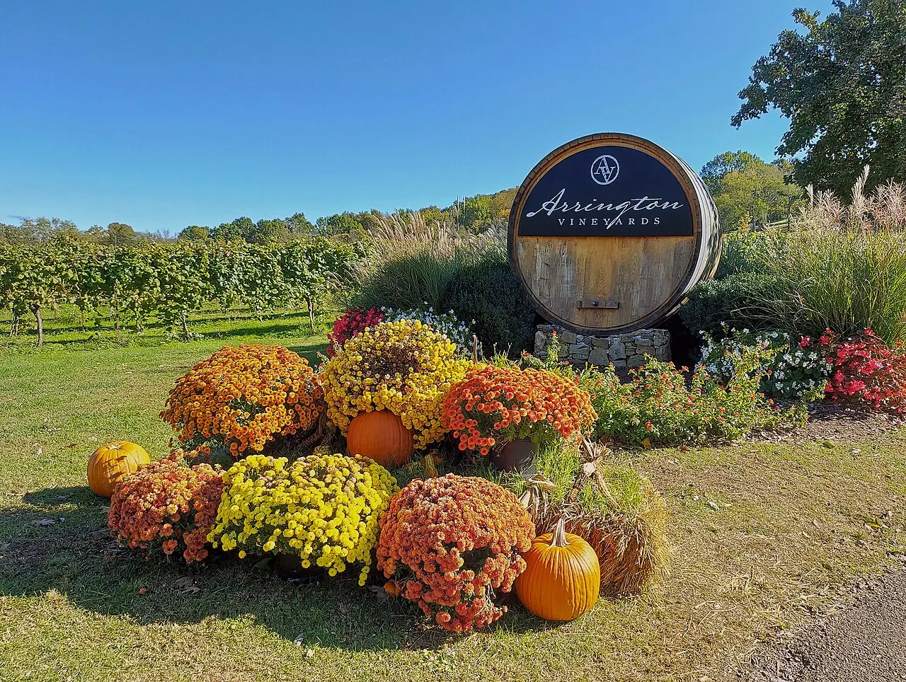 Arrington Vineyards, Franklin, Tennessee, United States