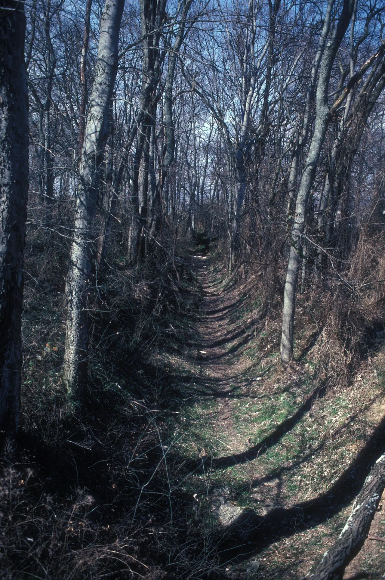 Fort Granger, Franklin, Tennessee, United States
