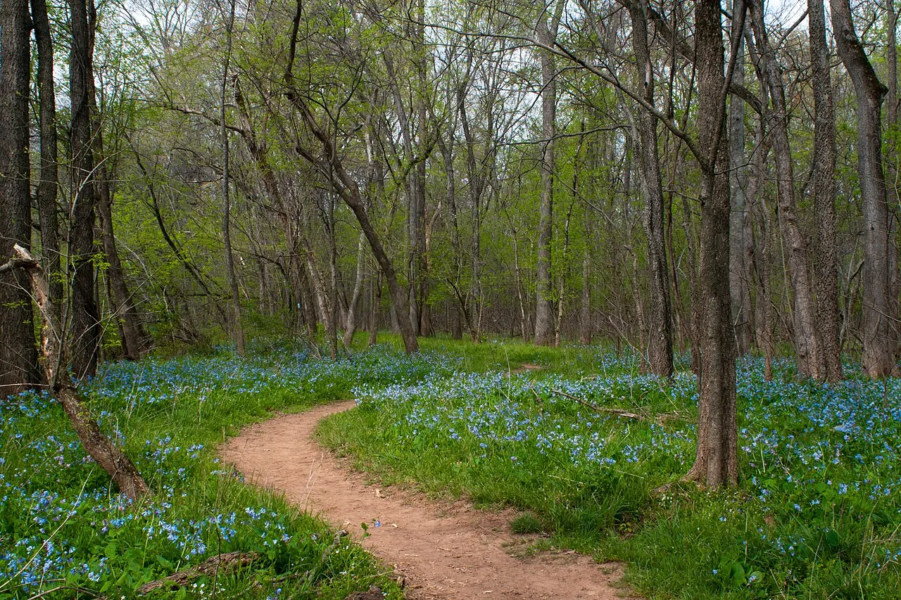 Bull Run Regional Park, Centreville, Virginia, United States