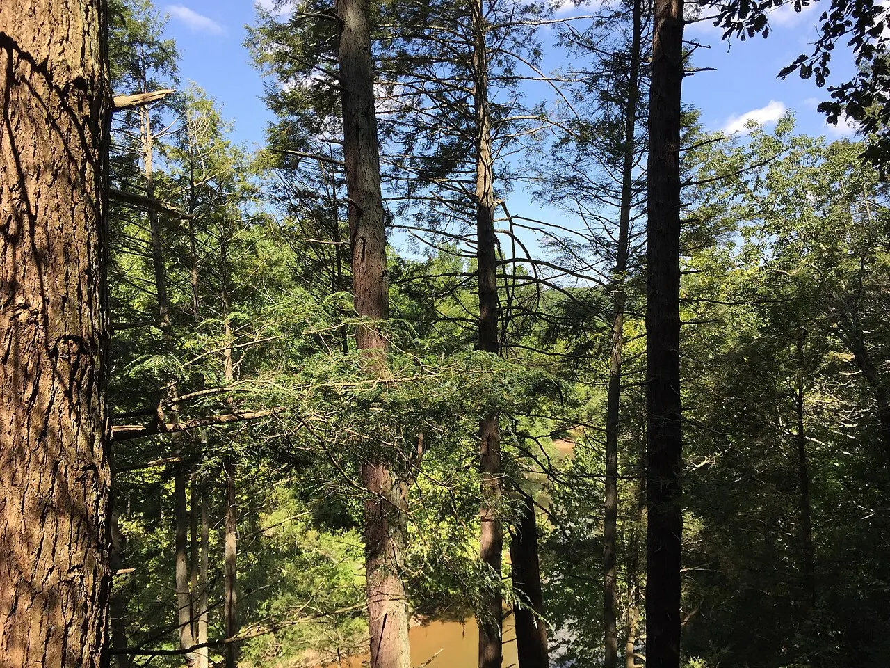 Bull Run-Occoquan Trail, Centreville, Virginia, United States