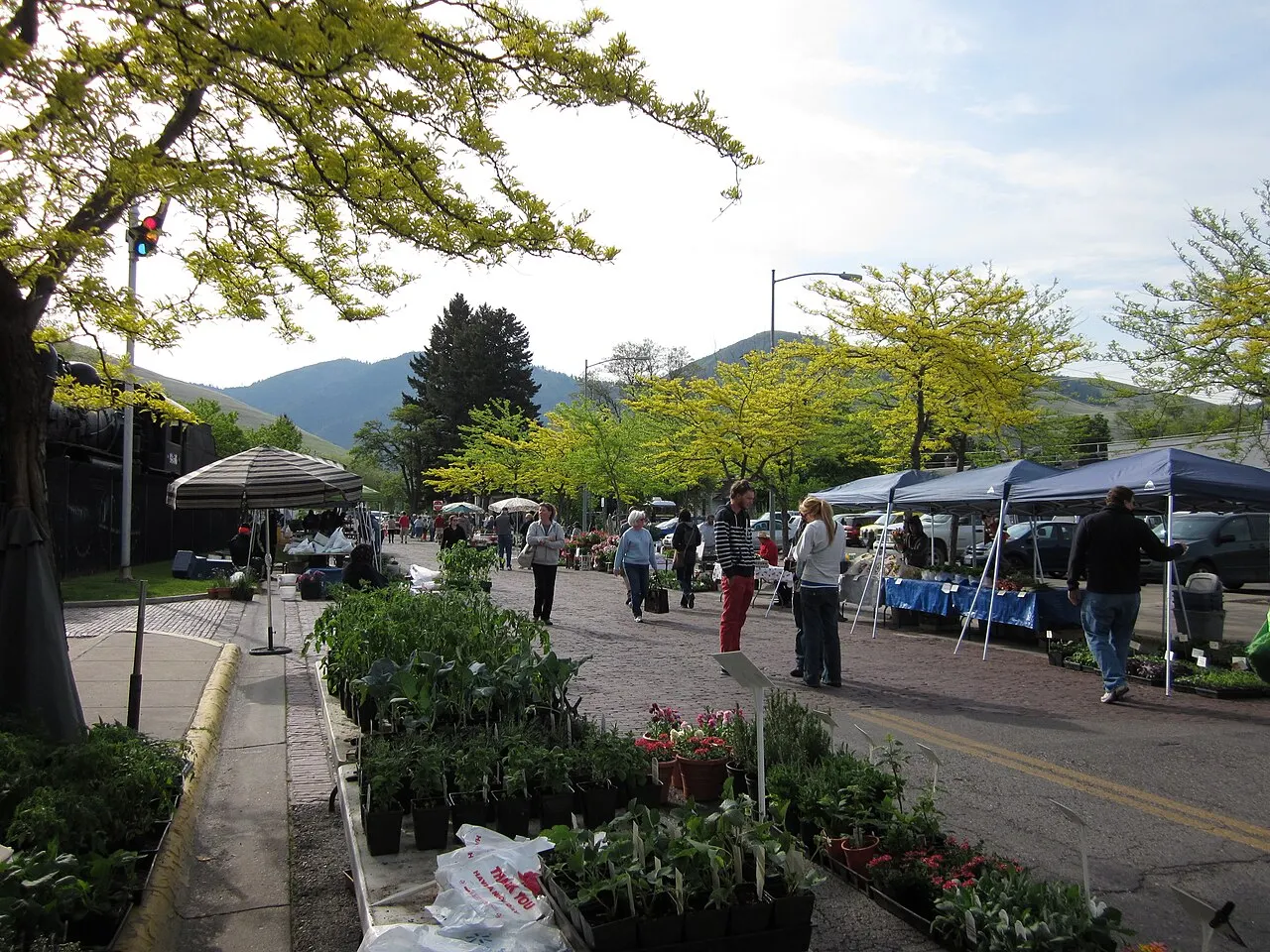 Missoula Farmers Market, Missoula, Montana, United States