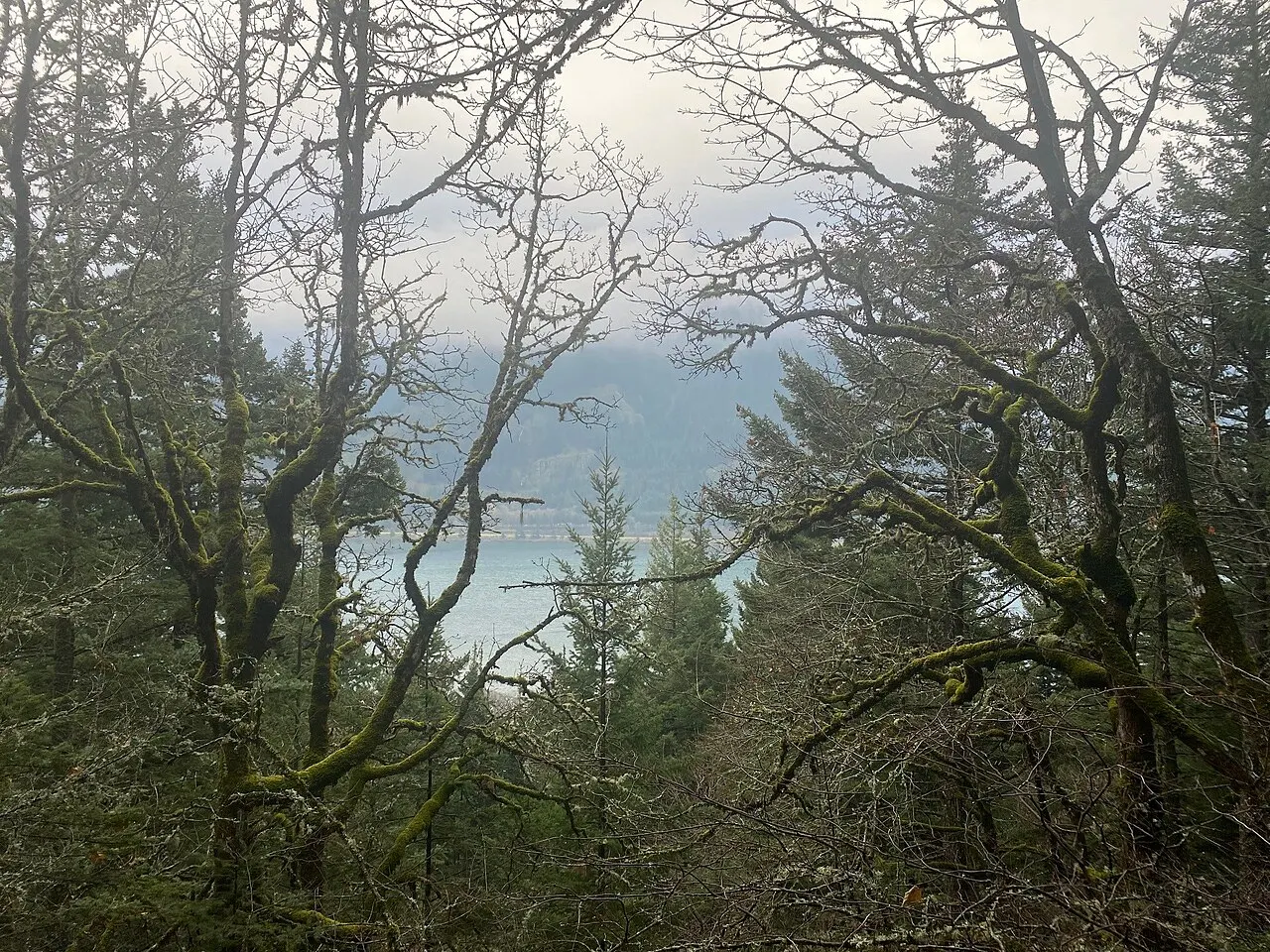 Dog Mountain Trail, Columbia River Gorge, Oregon, United States