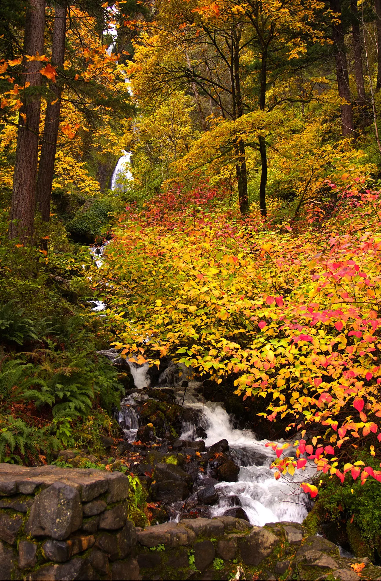 Wahkeena and Horsetail Falls, Columbia River Gorge, Oregon, United States