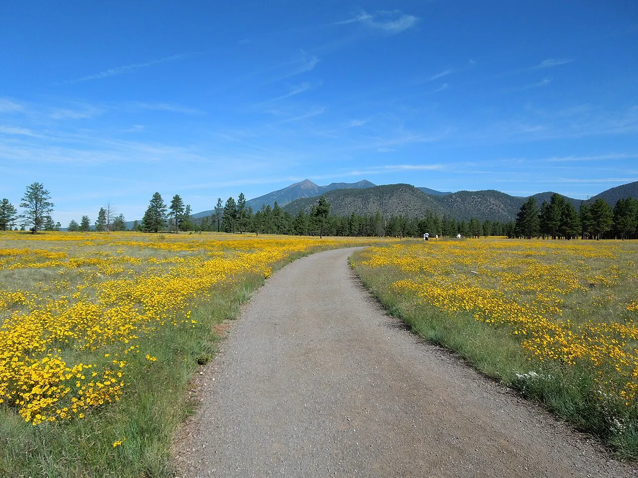 Buffalo Park, Flagstaff, Arizona, United States