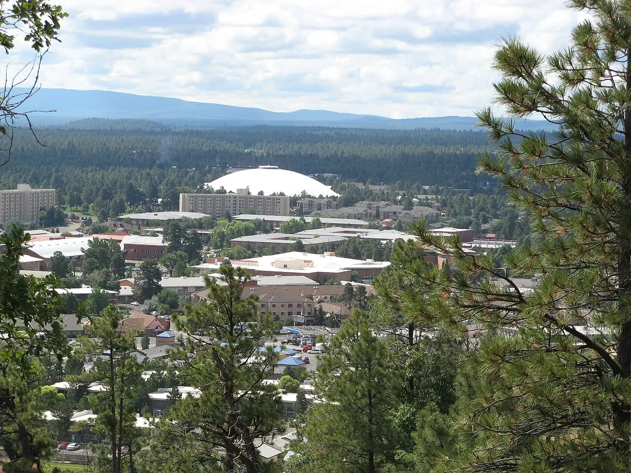 Northern Arizona University, Flagstaff, Arizona, United States