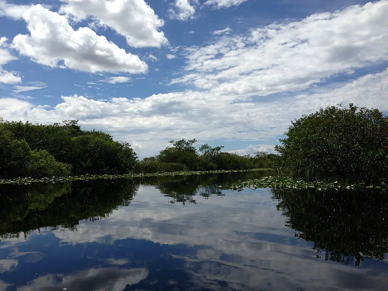 Everglades Holiday Park, Weston, Florida, United States