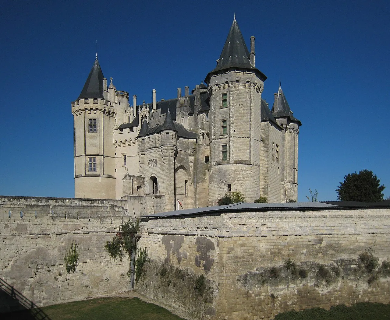 Château de Saumur and its town, Loire Valley, France